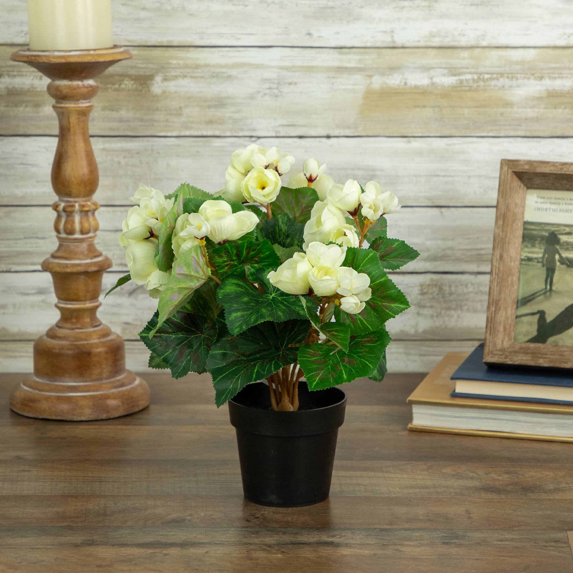 11" Cream Potted Silk Begonia Floral Arrangement